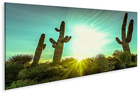 islandburner Bild auf Leinwand Arizona Wüste Kaktus Baum Landschaft Bilder Wandbilder Poster GAWB-Pano