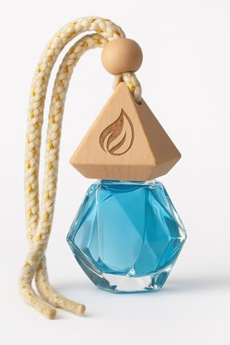 Ergo Dream Deodorante per auto | diffusore a clip per albero profumato | Profumo per auto contro gli odori | Distributore di profumo interno | Profumo per auto di lunga durata 10 ml (oceano)