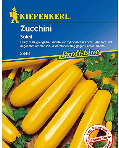 Kiepenkerl Zucchini 'Soleil',1 Portion