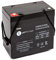 WATTSTUNDE 12V VRLA AGM Batterie - Zyklenfester und wartungsfreier 50 Ah C20 Solar Akku perfekt für autarke Anlagen mit M6 Anschluss (50Ah)