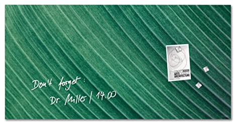 SIGEL GL371 Premium Glas-Magnettafel 91x46 cm, Palmblatt grün, matt, nicht spiegelnd, SGS geprüft, einfache Montage, incl. 3 starke Magnete, Artverum