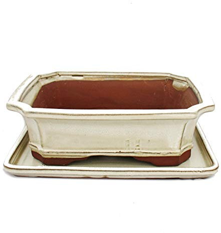 Exotenherz - Bol à bonsaï avec soucoupe taille 4 - beige clair - carré - modèle G4 - L 26 cm - l 20 cm - H 8 cm