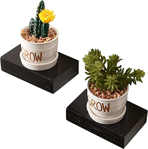 OAKERLAND Kleines Schweberegal Eiche, 2 Stück Schwarz Wandregal Holz Mini Wandboard für Pflanzen, Badezimmer, Schlafzimmer, Wohnzimmer, Office, Waschküche usw