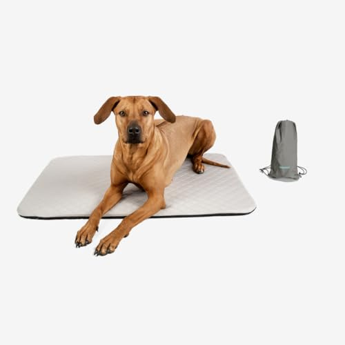 Manuly Hundedecke für unterwegs, Set aus Hundematte selbstaufblasend, kühlendem wasserabweisenden Bezug und Tragetasche, waschmaschinentauglich, Bezug kann gewechselt Werden, 100x70x3,5cm, 1080g