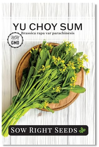 Sow Right Seeds - Yu Choy Sum Seeds for Planting - Unique Chinese Cabbage Variety - Asian Vegetable - Easy to Grow - Non-GMO Heirloom Greens - Versatile in Large Gardens or Small Spaces (1)