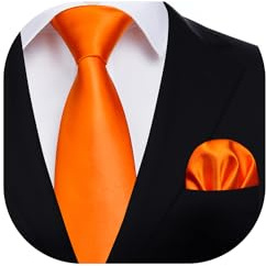 HISDERN Cravate Homme Extra Longue pour Mariage Fete Classique Cravate et Pochette Ensemble Cravates avec Mouchoir Set