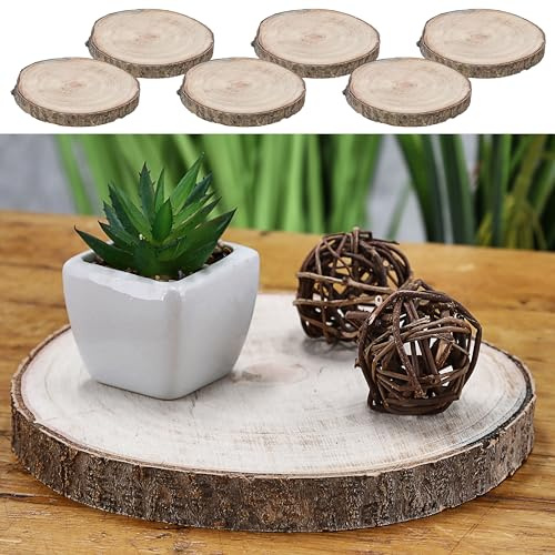 Cepewa Baumscheibe 6er Set Holzscheibe │ Paulownia Naturprodukt Ø17x2cm │Scheibe Holz Holzplatte Dekoelement (1 x 6er Set Baumscheibe Ø17x2cm)