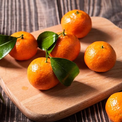 orangenbaum seltene, mandarinenbaum bonsaibaum, hochbeet deko, säulenobst balkonpflanzen 15samen