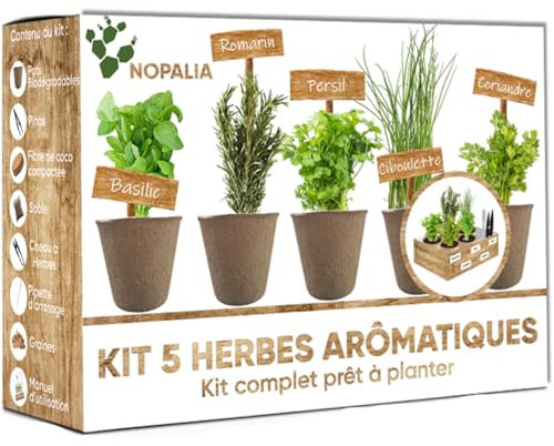 NOPALIA® Kit Erbe Aromatiche da Coltivare – Basilico, Coriandolo, Rosmarino, Prezzemolo, Erba Cipollina – Kit Completo con Vasi Biodegradabili, Forbici e Accessori – Idea Regalo Giardinaggio