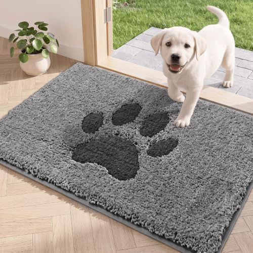 Oiilores Innen Fußmatte, rutschfeste Schmutzfang- und Sauberlaufmatte, maschinenwaschbar, wasserabsorbierende Tür- und Eingangstürmatte, ideal für Hund, Haustür, Grau, 40 x 60 cm