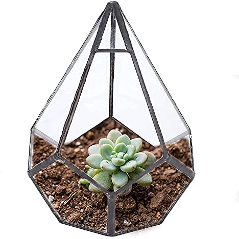 HERCHR Handmade Blumentopf, Gemoetrisches Glasterrarium, Bonsai Terrarium Container, Pflanzen Glas Terrarium Box für Sukkulenten, Transparente Schmuckschatulle, 12 x 12 x 14cm