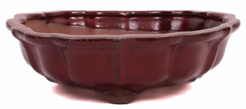 Bonsai - Schale rund 21.5 Ø x 7 cm bordeauxfarben 22187