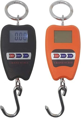Bilancia Digitale, Professionale Industriale, Gancio Dinamometro Molla, 200 kg