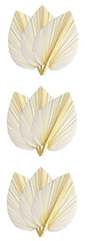 Simpls Lot de 9 grandes feuilles de palmier séchées blanches - Qualité supérieure - Décoration murale élégante et moderne bohème pour et le mariage