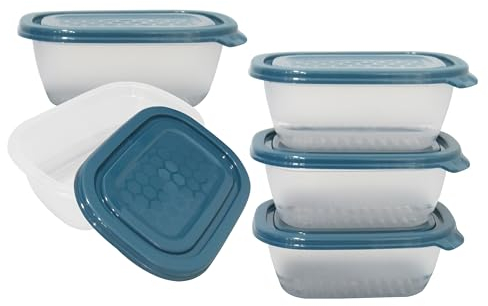 NEEZ Set Contenitori Per Alimenti (5 Pezzi) 500 ml, Piccoli Contenitore Cibo, Trasparente Box, Ermetici Coperchio, Frigo & Microonde Sicuro, Plastica Food Container, Blue Color