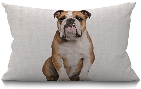 BGBDEIA Bulldogge Kissenbezug Englische Bulldogge Sitzend vor weißem Hintergrund Baumwolle Leinen Dekorativer rechteckiger Wurfkissenbezug Kissenbezug für Sofa und Bett, Couch, 30 x 50 cm