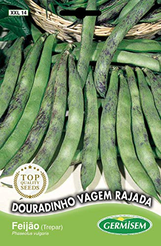 Germisem Graines de Haricot à Rames Douradinho