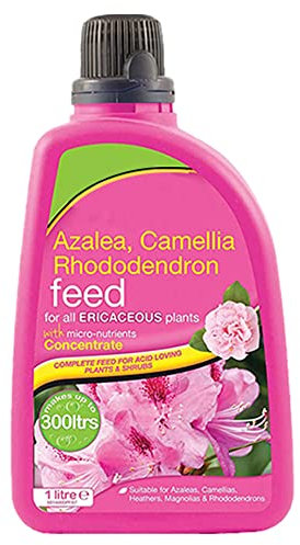 ZOPPER Ericaceous Plant Food Azalea Camellia Rhododendron Shrub Feed Fertiliser Concentrate plant feed to encourage healthy growth & large blooms 1 Liter
