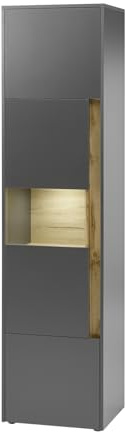 Aktenschrank Büroschrank in grau matt und Wotan Eiche Vitrine für Homeoffice und Büro Büromöbel Ordnerschrank 50 x 200 cm Center (Aktenschrank 1)