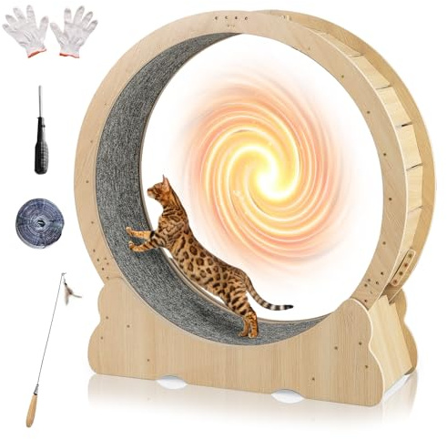 GYMAX Rueda de Ejercicio para Gatos de 101 x 35 x 106 cm, Rueda para Correr de Madera con Almohadillas Antideslizantes, Base Ancha, Entrenamiento de Bajo Ruido para Gatitos
