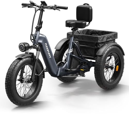 Electric Trike for Adult with 960W Peak Motor, 48V 17.4AH Cells Battery, Pickup Class 500 LB Load Electric Tricycle with 20 Fat Tire and Large Basket, 60 Miles Range,for City and Mountain Road,Husky