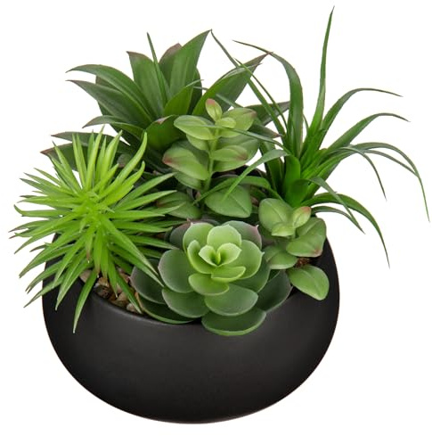 Hollyone Fake Plants Artificial Succulents in Pots Faux Succulent Arrangement Potted Plant in Black Ceramic Planter Bowl for Home Decor Office Desk Bathroom Shelf Living Room Indoor Decorations