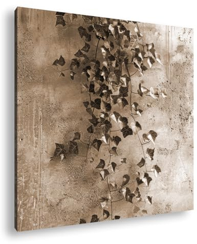 deyoli Ance di edera che crescono su un muro di cemento grezzo. Formato: 60 x 60 cm. Effetto: Seppia come tela su tela, motivo già incorniciato su telaio in vero legno, stampa digitale di alta qualità