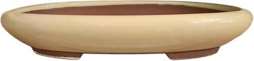 Genérico BIOMATA Maceta Bonsai Ceramica para Kifu 19,2x15,1x3,8 cm | Tiesto Ovalado | Maceta para Bonsai Resistente a Cualquier Clima | Tiesto Ceramica con Drenaje (Crema)