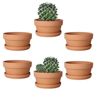 Vensovo - Vaso per Piante Grasse in Terracotta da 5,7 cm, 6 Pezzi, con Piattino e Foro di Drenaggio
