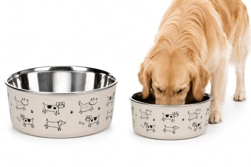gamelle pour Chien - Grande gamelle Jappie Beige en INOX Premium - Bol antidérapant - pour Eau et Nourriture - 1,7L