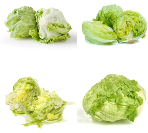 Semi di lattuga iceberg biologici, biologici rare da giardino roccioso resistenti semi di vecchie varietà acquistare 100pcs