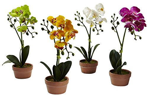Nearly Natural Phalaenopsis Orchid with Clay Vase (Set of 4)