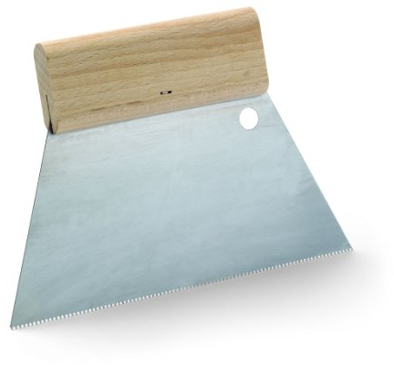 Spatola dentata, 6048