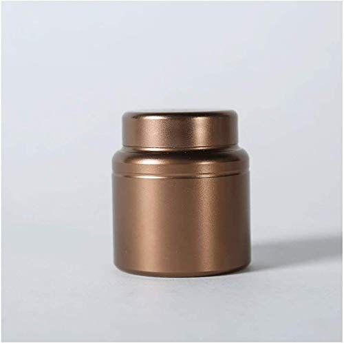 Gedenksteine Särge und Urnen Urnen for Ashes Urne für Asche Pet Cremation Urne für Asche Urna Urnen für Asche Erwachsene, menschliche kleine Gedenkurnen, kleine Metalldose Box tragbare versiegelte