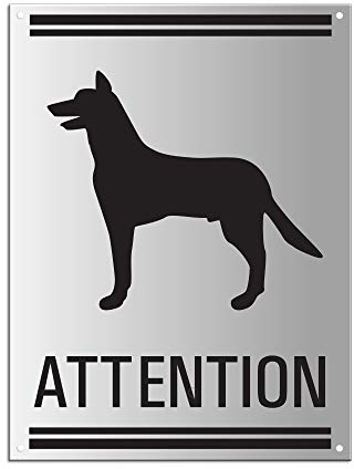 Warnschild Achtung Hund Schäferhund 200 x 150 mm gelocht Aluminium silber matt eloxiert 37076-EL