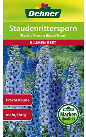 Dehner Blumen-Saatgut, Staudenrittersporn, Pacific Riesen Blaue Töne, 5er Pack (5 x 1 g)