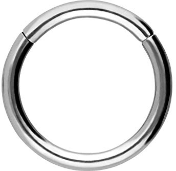 PIERCINGLINE Segmentring Clicker Chirurgenstahl Piercing Ring Nase Septum Ohr Helix Tragus Silberfarben 1 x 8 mm
