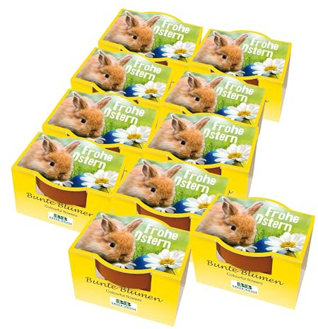 Bull & Bear 10er Set Mini Pflanzset 'Frohe Ostern' mit Blumensamen im Topf 4,5cm, Bunte Blumen als Anzuchtset mit Pflegeanleitung