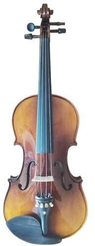 Anfänger Geige Flammenahorn Massivholz Violine 4/4 3/4 1/2 1/4 Anfänger Braun Vionlino Professionelles Instrument Mit Hartschalenkoffer(3/4)