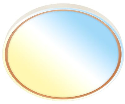 Briloner - Lampara techo LED con mando a distancia, regulable, CCT blanco cálido a frío, plafon techo, lamparas salon, plafones, 49x6,5 cm, café