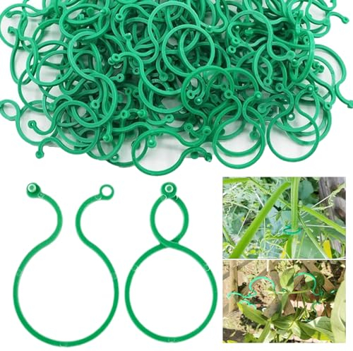 Minging Pflanzen Klammern Befestigung, 300 Stück grün, 4x2cm - Pflanzen Clips Tomatenclips Pflanzenringe Pflanzen Stützklammern für Tomaten Klammern für Pflanzen Befestigen