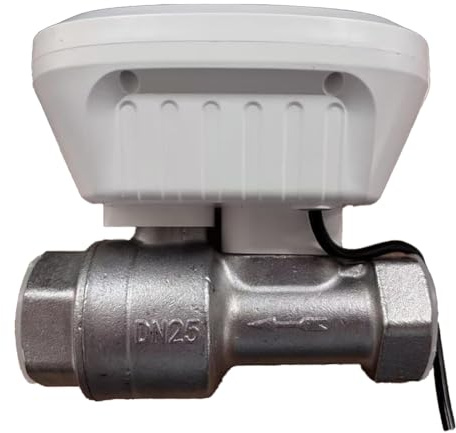 Uxsjakjsd Tuya Smart WiFi Wasserventil Wassermesser Wasserflussrate Controller Wassertemperaturanzeige EU -Stecker