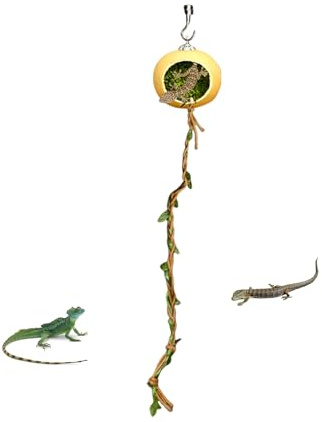 Hoppspindel Inredning För Bur,Magnetisk Gömsle För Hoppspindlar | Terrarium Habitat Skydd Inredning, Gömställe Tillbehör Små Reptiler Geckoödlor Leddjur