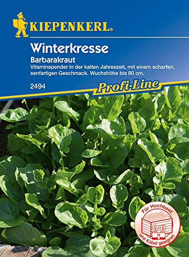 Kiepenkerl 2494 Winterkresse Barbarakraut (Winterkressesamen)