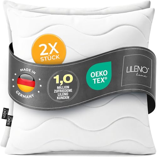 LILENO HOME Set med 2 kuddar 30 x 30 cm, stoppning för soff-/säng, justerbar dragkedja – tvättbar upp till 95 °C