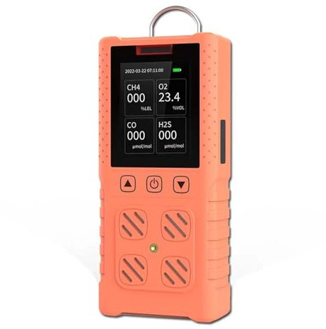 Détecteur de Gaz Naturel, Détecteur de gaz multiples O2/H2S/CO/LEL Compteur de gaz 4 en 1 Oxygène Sulfure d'hydrogène Monoxyde de carbone Détecteur de fuite de gaz combustible pour Camping Car, Home(D