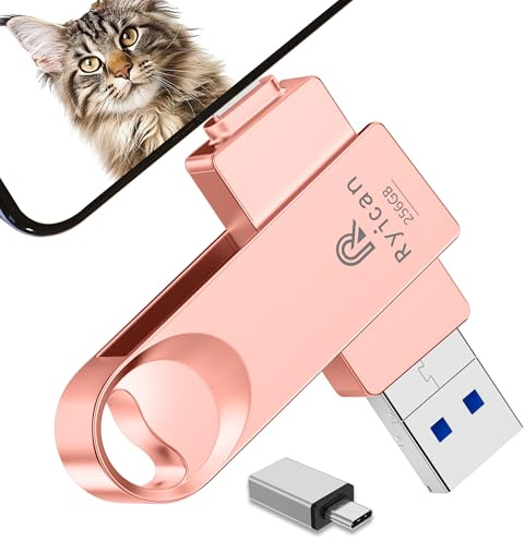【sans APP】 Cle USB pour lPhone Ryican 256GO Clé USB C 4 en 1 Clef USB 3.0 Stockage Transfert Photos Est Idéale pour Voyageurs,Mini Pendrive Photostick avec iOS/lPad/OTG Android/PC/Tablet,Rose
