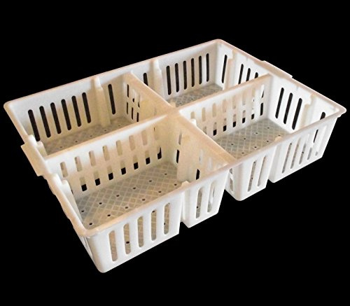 Rite Farm Products STACKING CHICK SORTING BOX 25 X 4 = 100 BASKET CHICKEN BOXES SORTER CRATE