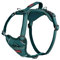HALTI Anatomy Dog Harness with Handle - Provides Your Dog Freedom of Movement for Comfortable Walking. 3 Lead Attachment Points, Neoprene Padded, Adjustable, and Reflective (Size X-Large, Teal)
