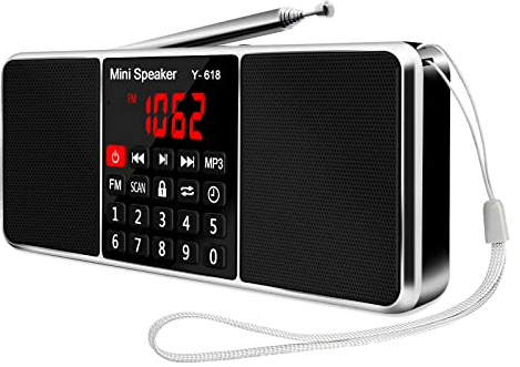 LEFON Multifunction Digital FM Radio Media Speaker MP3 Music Player Support TF Card USB Drive with LED Screen Display and Setting Timing Shutdown Function (Black)